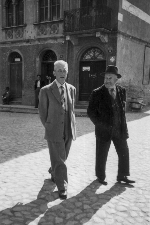 Verzelloni Demetrio