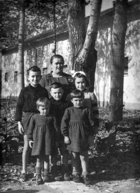 Edvige Bertolini