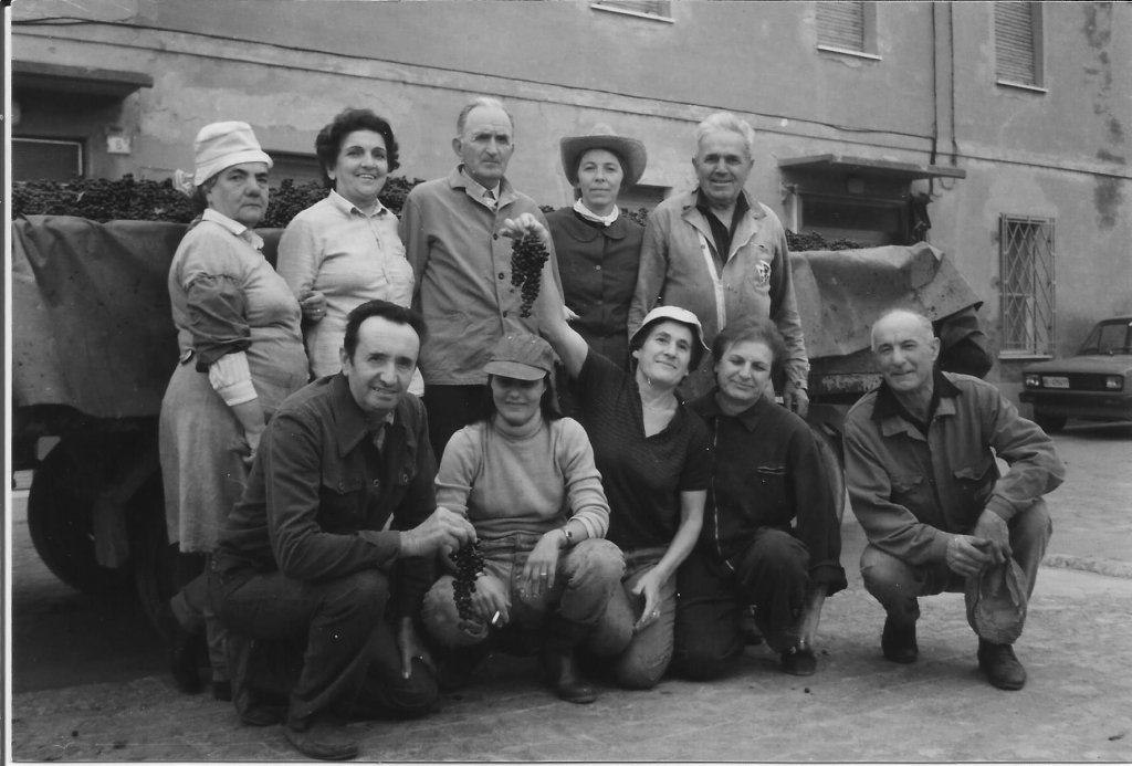 in Varesina