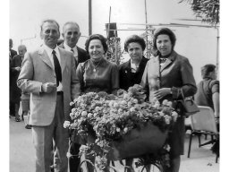 matrimonio