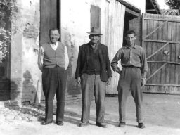 Pergreffi Edo