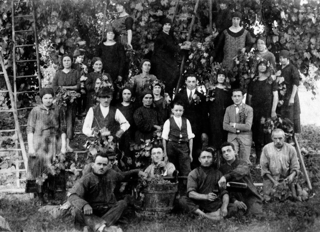 vendemmia dai Biset