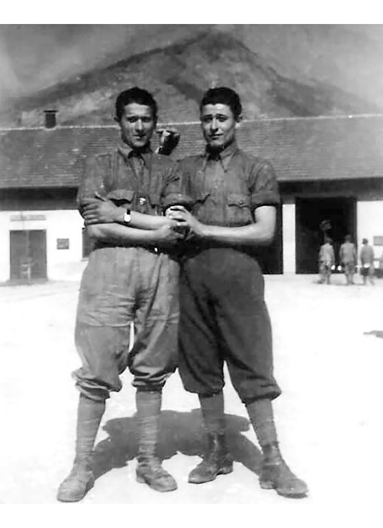 Gino Pelegreffi