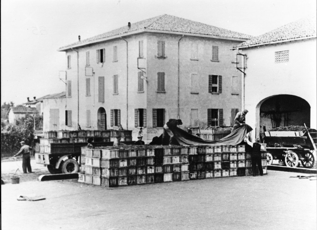 Podere Fortinella