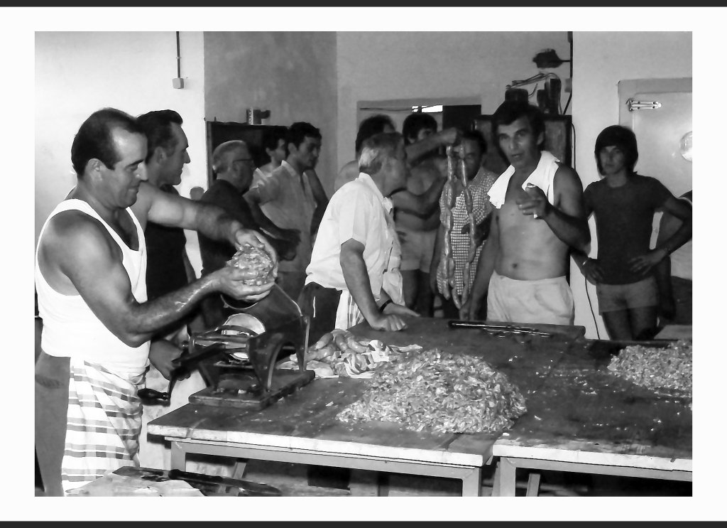 Festa Unità